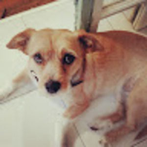 Meet your Posher, Colette